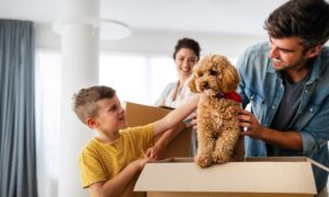 Your Guide to a Smooth Move with Pets