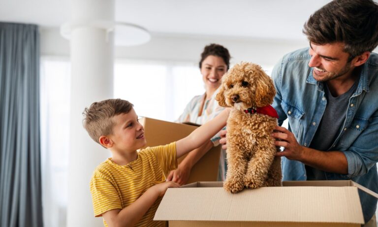 Your Guide to a Smooth Move with Pets