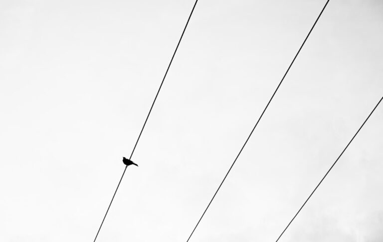 Minimalist photo of a single, straight thread cutting through a complex and messy tangle of other threads, symbolizing a c...